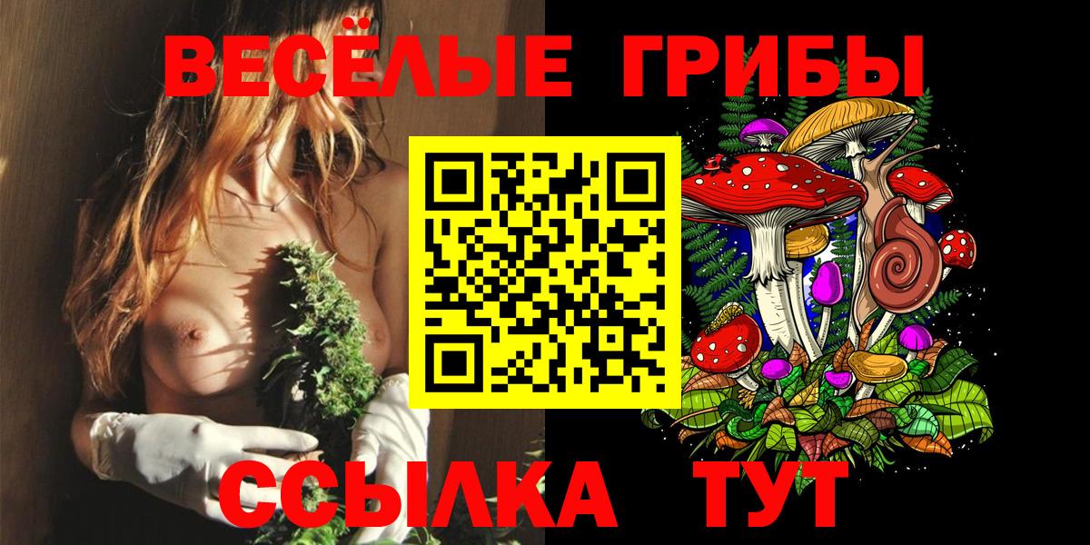 Королёв  Галлюциногенные грибы Cubensis  Вход с VPN 