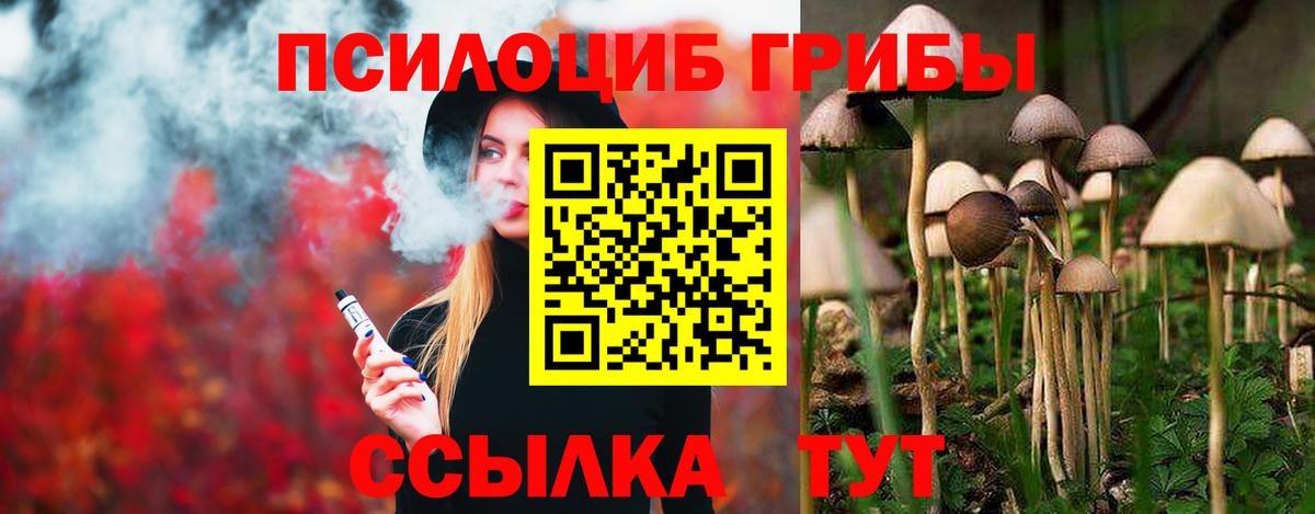 Галлюциногенные грибы прущие грибы Королёв